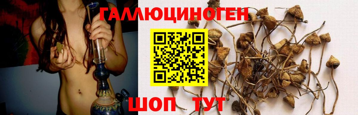 Галлюциногенные грибы прущие грибы  цена наркотик  Зеленодольск  Вход с VPN 
